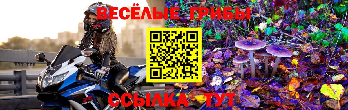 Мурино  Галлюциногенные грибы Magic Shrooms  Вход с VPN 