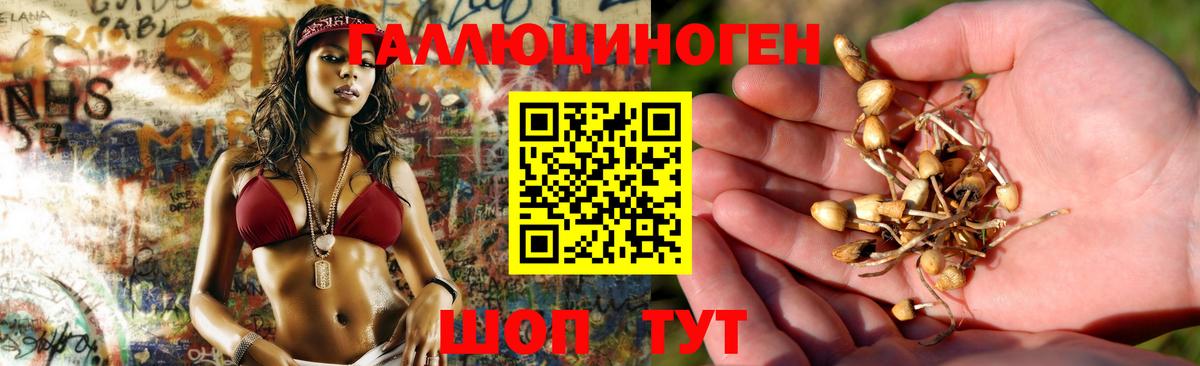 Галлюциногенные грибы GOLDEN TEACHER Мурино